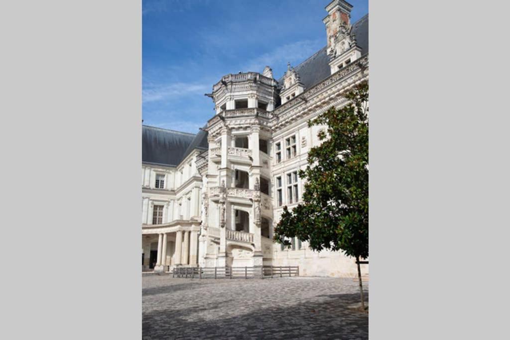 Appartement Quartier Cathedrale Блуа Экстерьер фото